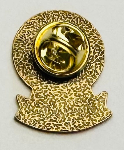 1" Stroke Thrombolytic Lapel/Badge Pin – Gold, 30-Min Door-to-Lytic Time, Military Clutch Back